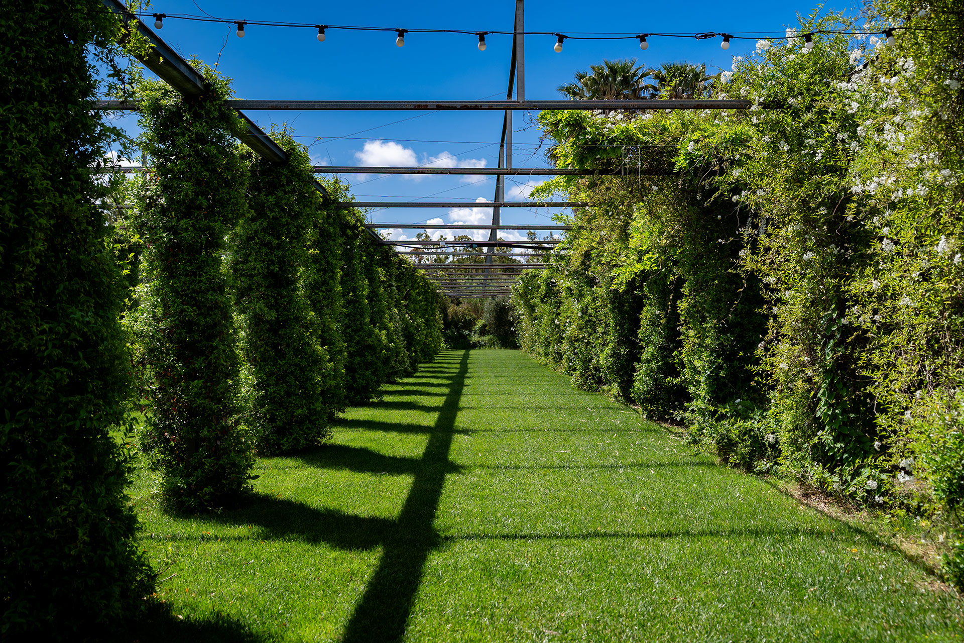 Il giardino di Ros'e mari